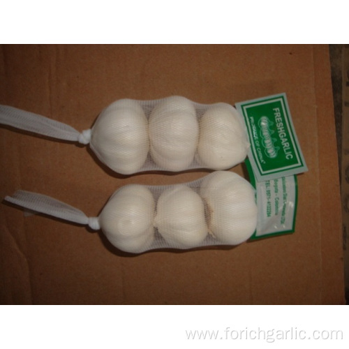 Different Packages Of Jinxiang Pure White Garlic